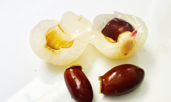 Bài thuốc trị bệnh từ hạt vải