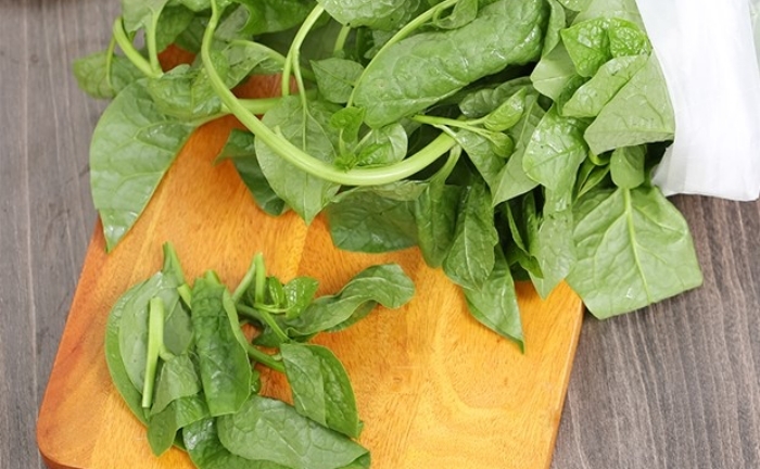 Nhóm người không nên ăn rau mồng tơi
