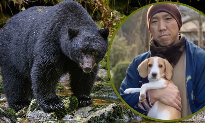 Nhà sư nhận nuôi chú chó bị bỏ rơi, sau đó được chó cứu mạng khi gặp gấu dữ 