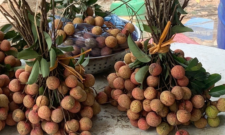 Những ai không nên ăn vải?