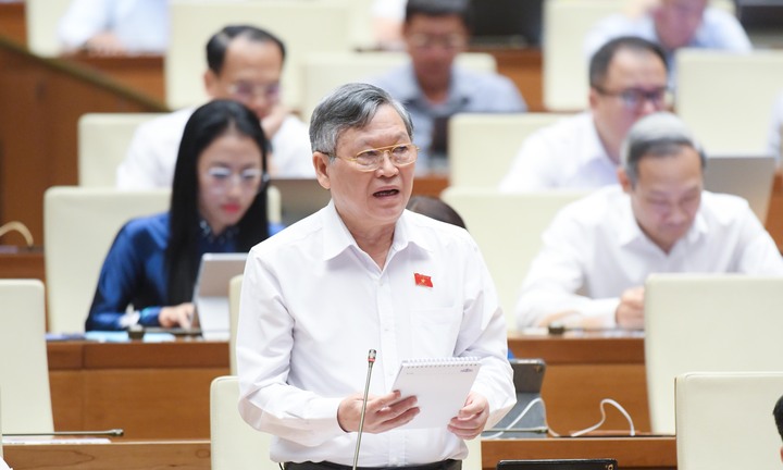 ĐBQH: Cần chế tài đủ mạnh để triệt hàng giả, hàng nhái