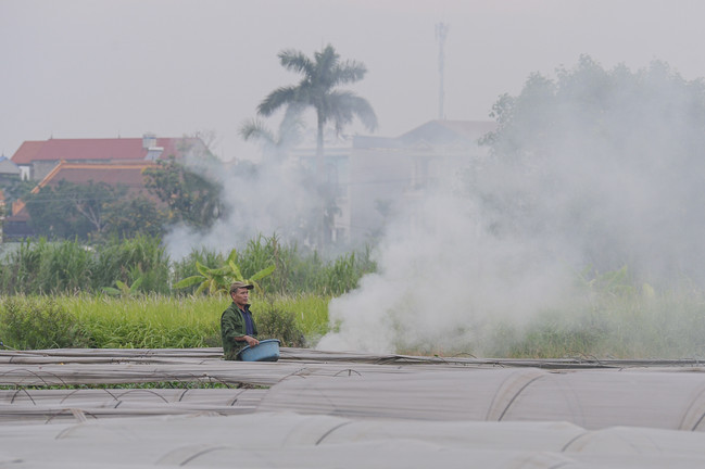 Dân đốt rơm, khói trắng trời Hà Nội, hun người đi đường