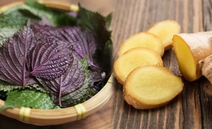 5 trường hợp cần thận trọng khi uống nước tía tô nấu với gừng