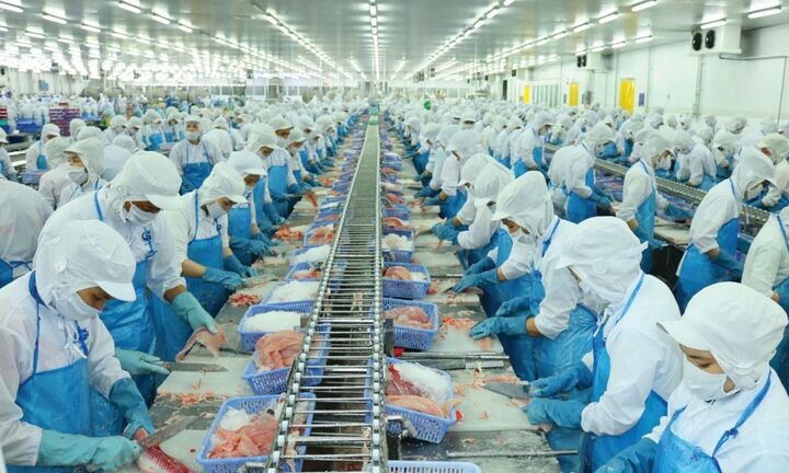 Xuất khẩu thủy sản tăng mạnh, VASEP vẫn lo thuế đối ứng