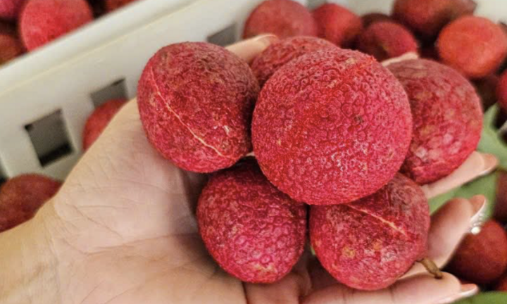 Một loại vải đặc biệt ở Thanh Hoá giá 600.000 đồng/kg