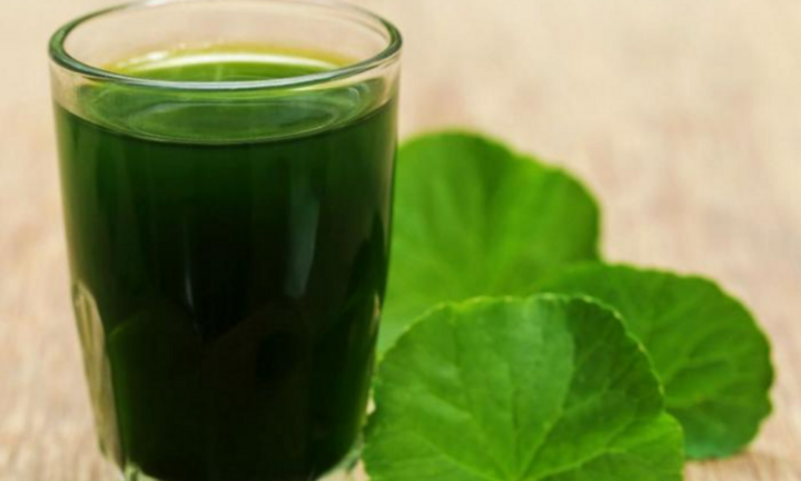 Uống nước rau má mùa hè có tác dụng gì?