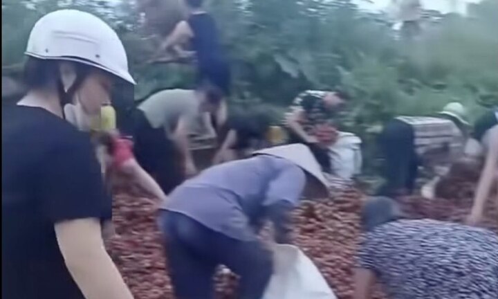 'Hôi vải' trên xe tải gặp nạn: Nhiều người chuyển tiền cho tài xế