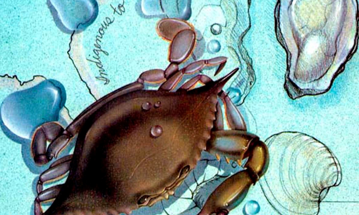 Càng cua gây đứt tay, người đàn ông chết vì vi khuẩn ăn thịt người