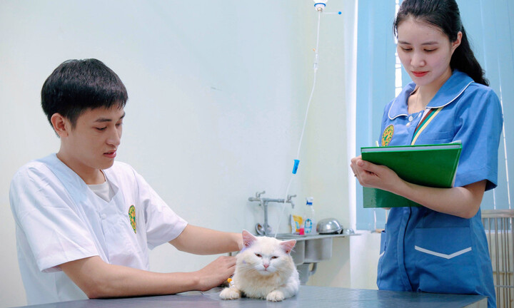 Học phí các trường ngành Thú y 2025