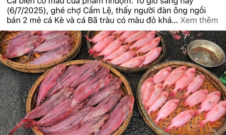 Người dân Đà Nẵng nghi ngờ cá bị nhuộm phẩm, tiểu thương nói rửa bằng nước ngọt