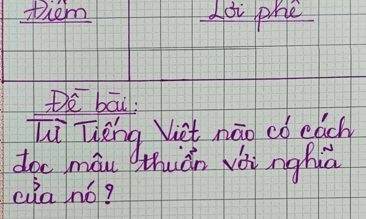 Từ Tiếng Việt nào đọc nghe 'khờ' nhưng nghĩa thông minh?