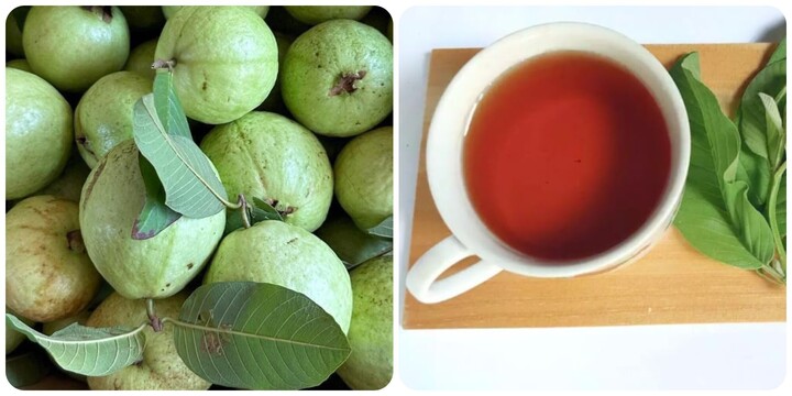 Nên uống nước lá ổi vào thời điểm nào?
