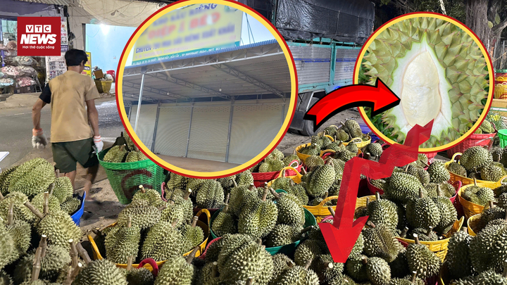 Thực hư các kho sầu riêng ngừng thu mua, thương lái kêu trời