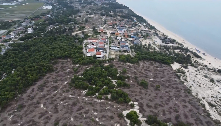 2,5 ha rừng phòng hộ ven biển bị chặt phá, Lãnh đạo phường ở Huế nói gì?