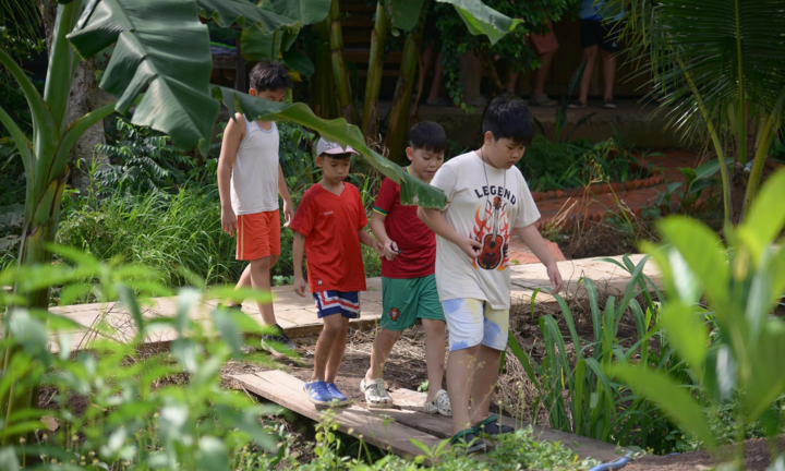 Trại hè ám ảnh nhưng trẻ bị ép viết cảm nhận 'tuyệt vời'