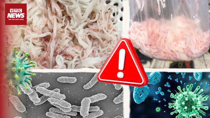 Bún chuyển màu đỏ ở Đà Nẵng: Vi sinh vật là 'thủ phạm'