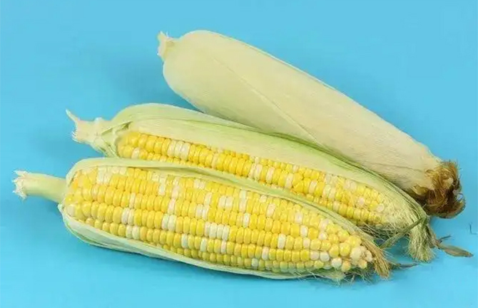 Những thực phẩm tránh kết hợp với ngô