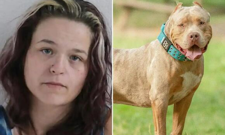 Người mẹ tàn độc trói tay con trai 6 tuổi để mặc chó pitbull cắn xé lĩnh án tù