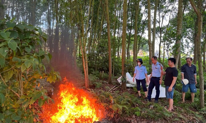 Phạt cơ sở kinh doanh gần 1,5 tạ thực phẩm đông lạnh không rõ nguồn gốc