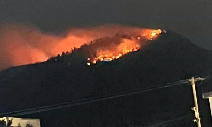 Lửa bùng phát trở lại, thiêu rụi 2 ha rừng keo ở Đà Nẵng