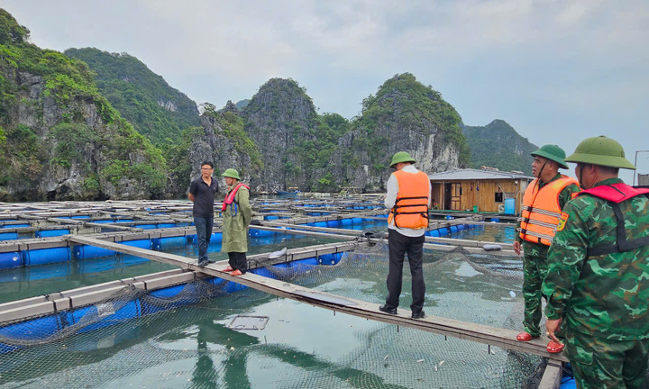 Bão số 3 Wipha đạt cấp cực đại: Biên phòng Quảng Ninh phát thông báo khẩn