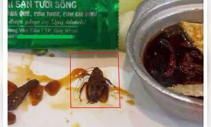 Xử phạt nhà hàng tại Quy Nhơn bị thực khách phát hiện có gián trong món ăn