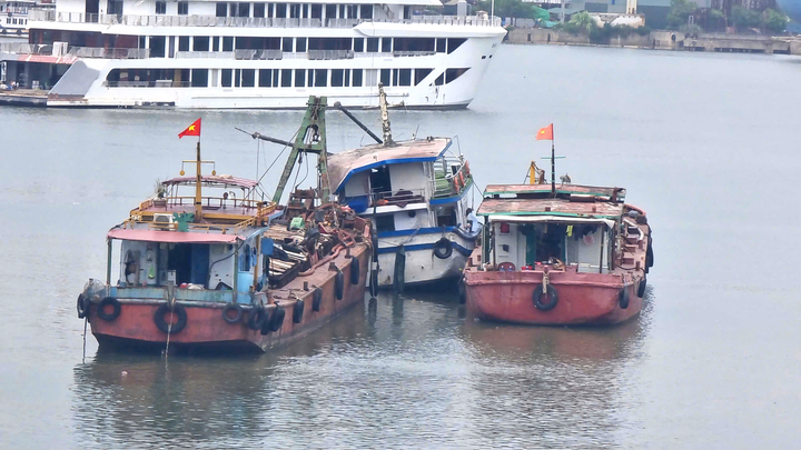 Tàu Vịnh Xanh 58 gặp nạn ở Hạ Long có đủ điều kiện hoạt động?