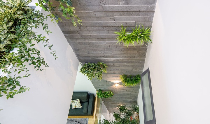 Kích thước giếng trời bao nhiêu là phù hợp? 