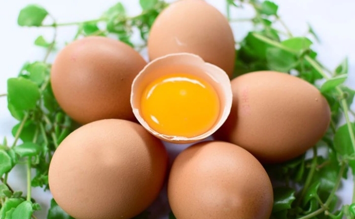 Bài thuốc từ quả trứng gà