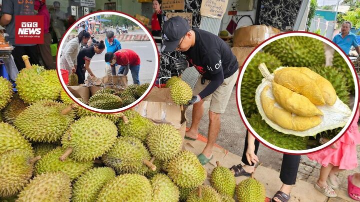 Sầu riêng Ri6 tại TP.HCM rẻ chưa từng thấy, người dân đổ xô mua