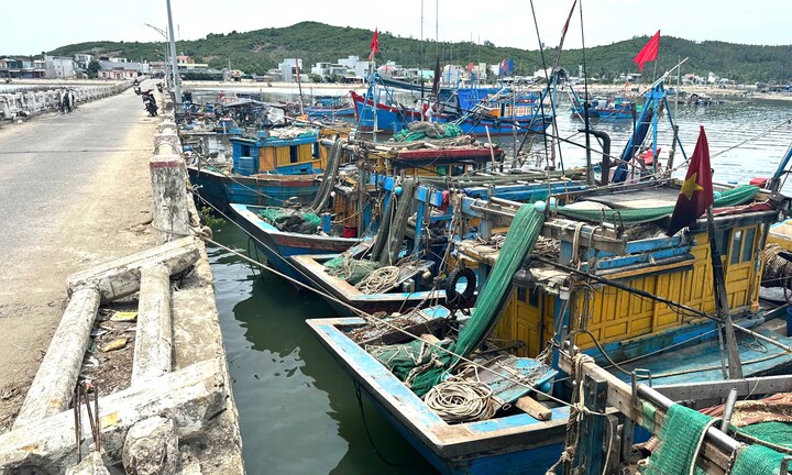 Cầu chực chờ đổ sập, ngư dân vẫn bất chấp neo đậu tàu thuyền