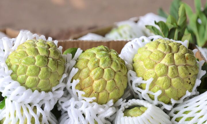 Tây Ninh đẩy mạnh tiêu thụ mãng cầu, phát triển thương hiệu trên nền tảng số