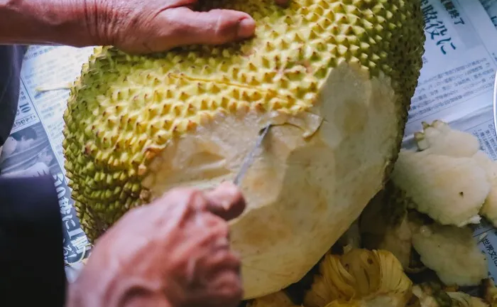 Cách làm sạch nhựa mít cực dễ bằng vài nguyên liệu có sẵn