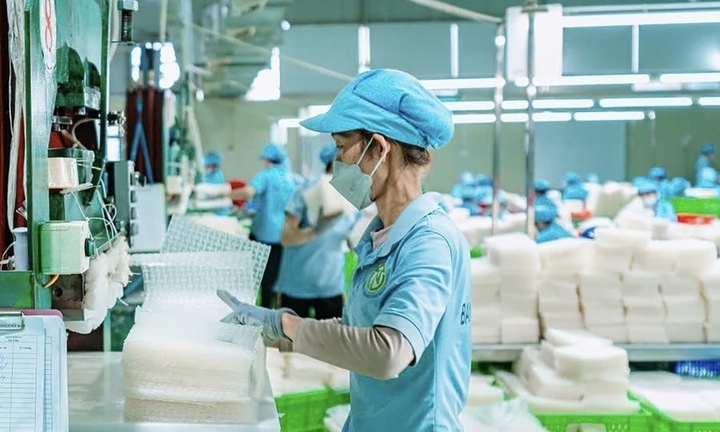 OCOP tiếp sức Tây Ninh bảo tồn và phát huy tinh hoa nghề truyền thống