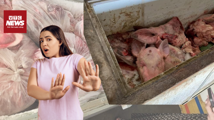 Rùng mình sau tủ đông: 2 tấn thịt lợn bệnh suýt lọt qua cửa kiểm dịch