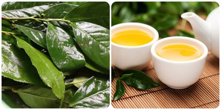 6 nhóm người không nên uống nước chè xanh