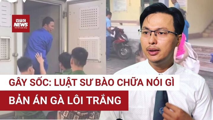 Bán gà lôi trắng, lĩnh án 6 năm tù: Luật sư bào chữa tại phiên sơ thẩm nói gì?