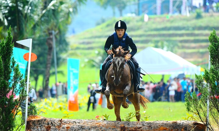 Mãn nhãn giải đua ngựa vượt địa hình ở Lâm Đồng