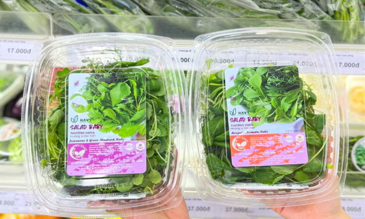 Giải pháp thực phẩm sạch từ mô hình nông nghiệp thẳng đứng của Havy Indoor Farm