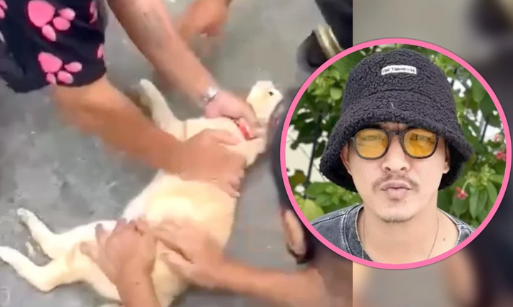 Người đàn ông cứu chú mèo bị điện giật bằng cách hồi sức tim phổi