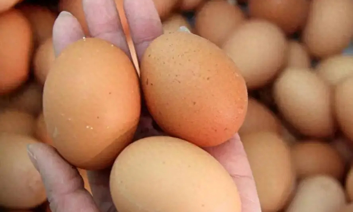Ăn trứng kiểu này sẽ gây hại cơ thể