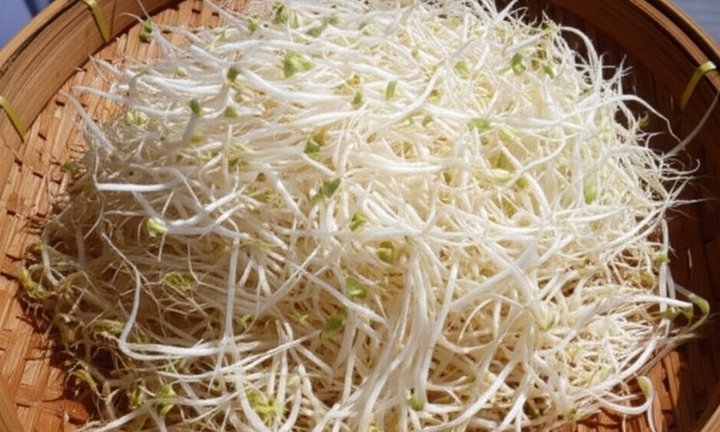 Nên ăn giá đỗ sống hay nấu chín? 