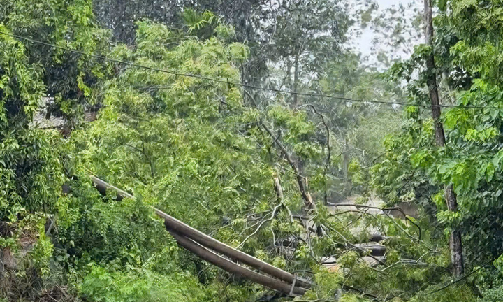 Bão số 5 quật đổ nhiều cột điện, gần 400.000 khách hàng ở Hà Tĩnh mất điện