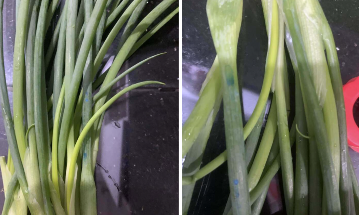 Dấu hiệu hành lá 'ngậm' hoá chất được chuyên gia ĐH Bách khoa chỉ rõ