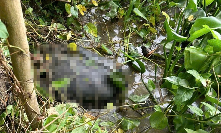 Lời khai kẻ sát hại cô gái rồi phi tang dưới kênh nước ở Tây Ninh