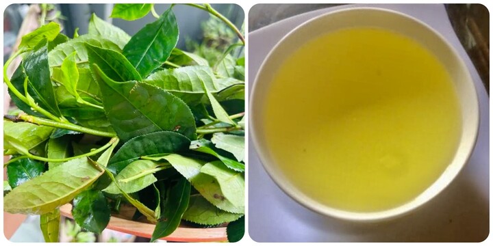 5 thời điểm không nên uống nước chè xanh