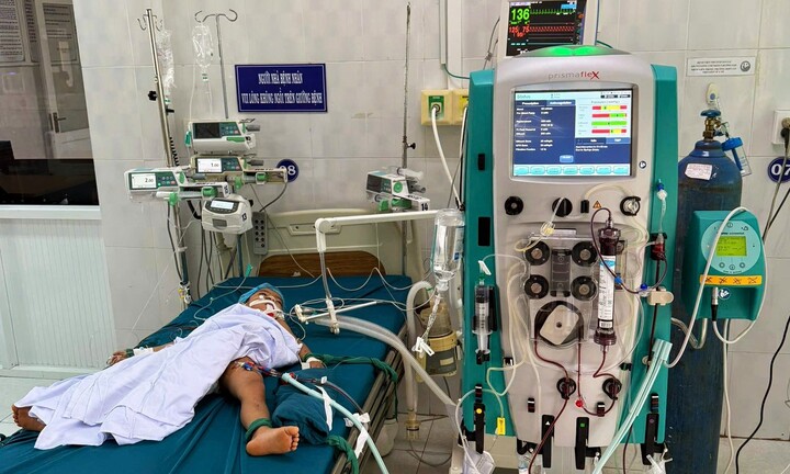 Bị 23 vết ong vò vẽ đốt, bé 5 tuổi ở Gia Lai tử vong