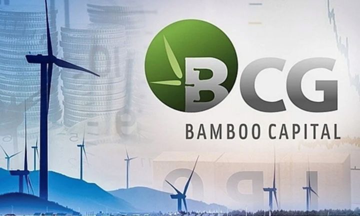 Cổ phiếu Bamboo Capital vào diện cảnh báo