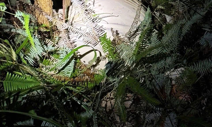 Phát hiện thi thể nữ giới được giấu trong bao vải ở phường Móng Cái 3