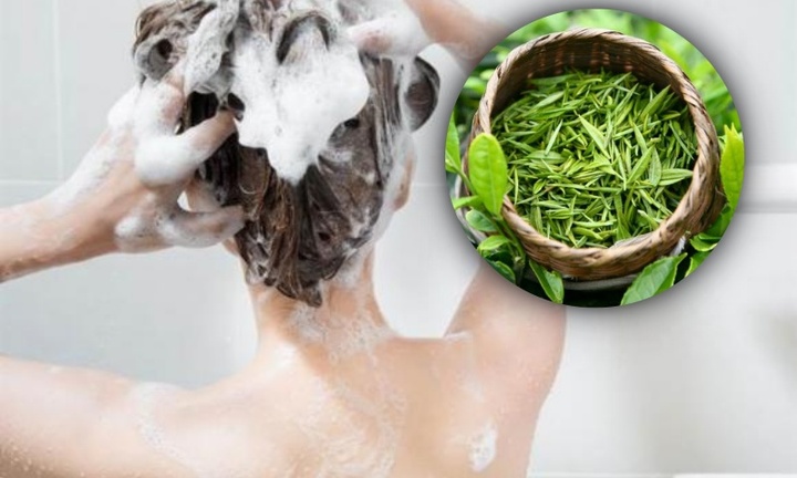 Cách gội đầu bằng lá trà xanh giúp giảm rụng tóc